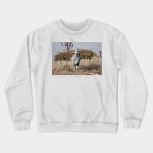 Great blue heron Crewneck Sweatshirt